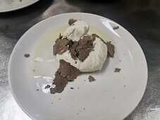 Burrata cu trufe