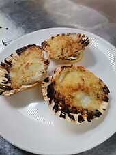 Scoici Saint Jacques